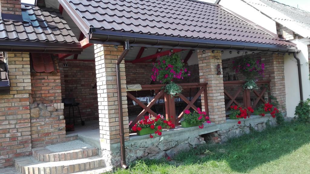 U Agi Apartment Nowogrod Exterior photo
